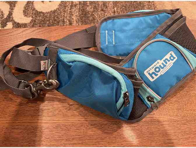 Doggy Heaven- Four self serve dog washes, hiking belt pack, and new collar