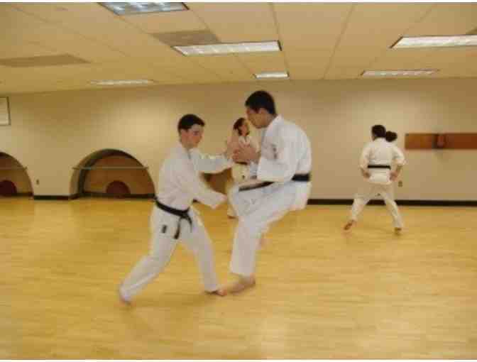 One Month of Karate Lessons at Allan Azoff's Martial Arts Academy in Lexington (2 of 3)