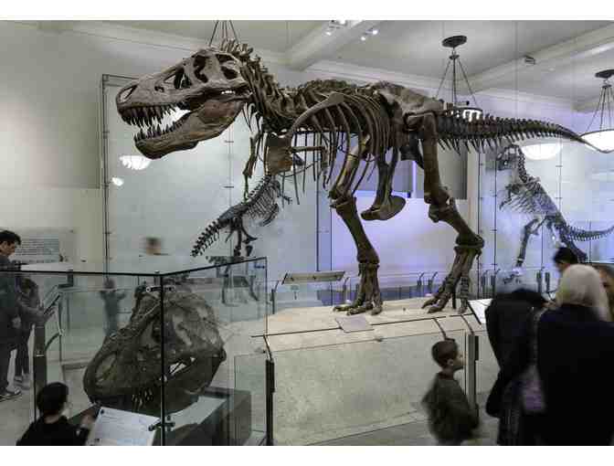 American Museum of Natural History - Photo 1