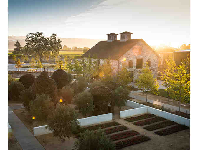 Tour & Tasting Experience at Hall Winery in St. Helena