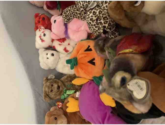 Beanie Buddy Collection - Rare Find