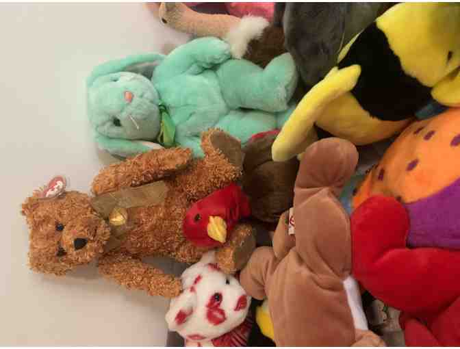 Beanie Buddy Collection - Rare Find