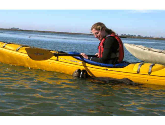 Half-Day Double Kayak Rental from Kayak Connection