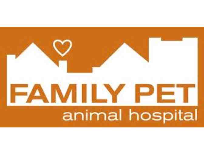 4-hour Veterinary 'Apprenticeship' with Dr. Amy Ujiki at Family Pet Animal Hospital