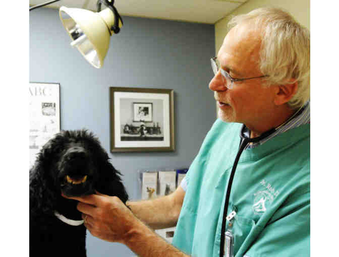 Blum Animal Hospital $200 in services
