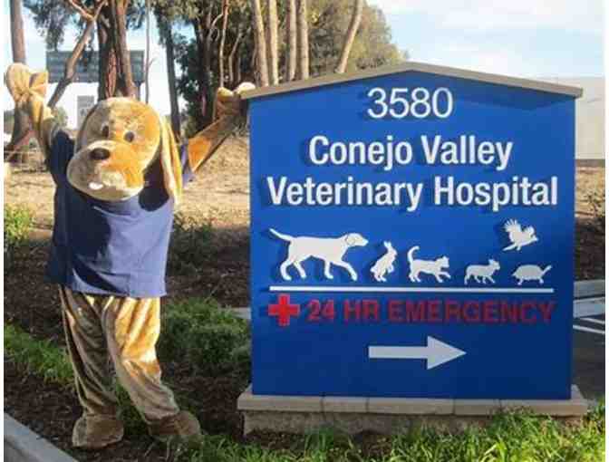 Conejo Valley Vet Gift Basket