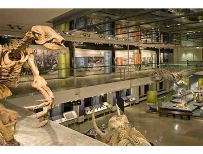 Four Guest Passes to either The Natural History Museum or LA Brea Tar Pits