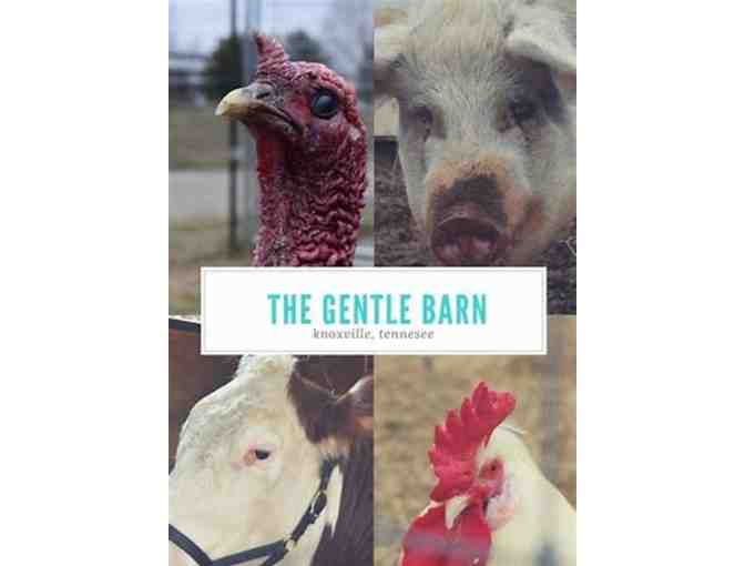 Passes for Five to visit The Gentle Barn (1 of 2)