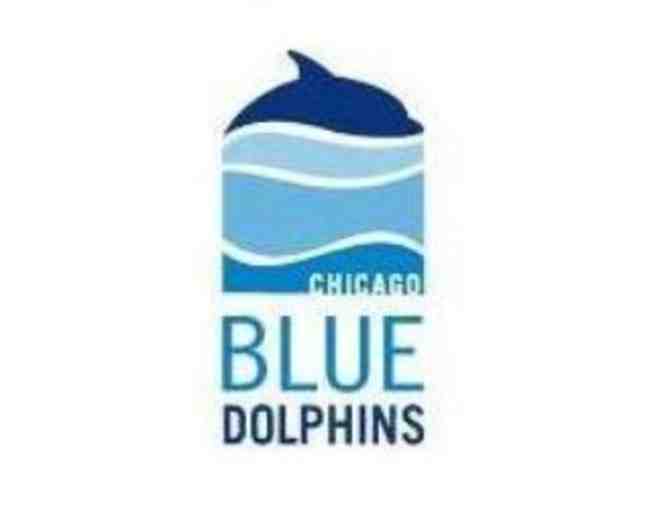 Blue Dolphins Swim Studio