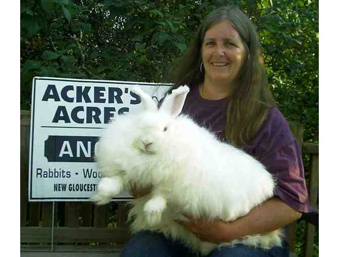 Acker's Acres Angoras Handspun yarn , 2 Skeins (Blue)