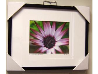 'Cerro San Cristobal Botanical Garden' Framed Photograph by Mark Beahm