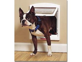 Medium-Sized Pet Door