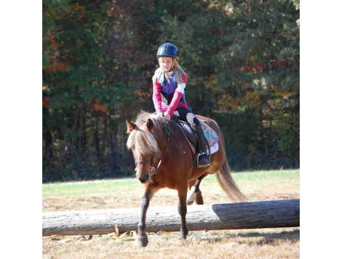 One Half-Hour Riding Lesson at Harmony Horse Stables