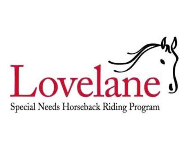 Lovelane Special Needs Horseback Riding  - Barn Buddies Program