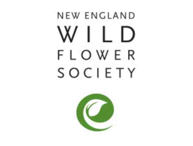 New England Wildflower Society/Garden in the Woods - Contributor Membership