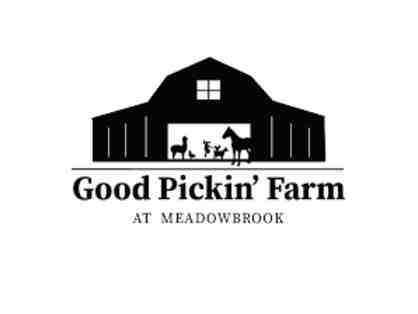 Good Pickin' Farm - Barnyard Brush Experience