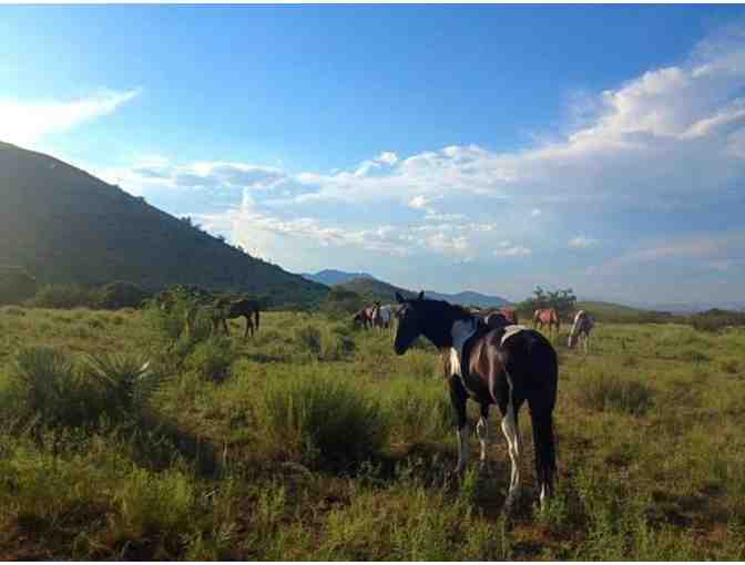 All-Inclusive Ranch Getaway in Benson, AZ! - Photo 4