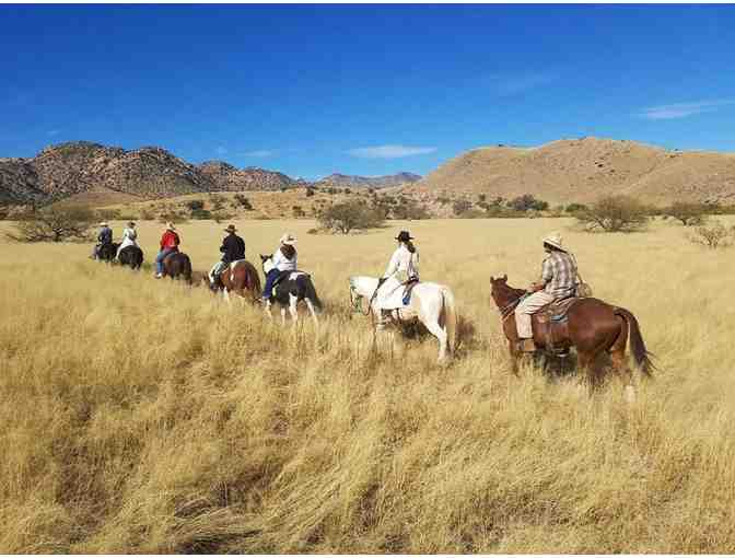 All-Inclusive Ranch Getaway in Benson, AZ! - Photo 9