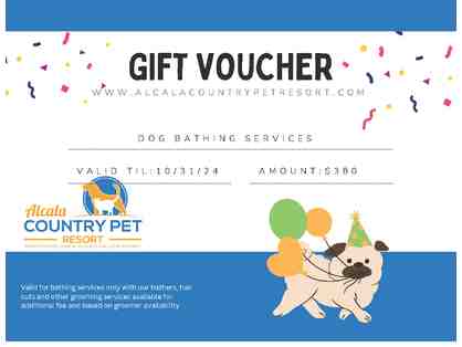 Dog Bathing Services at Alacala Country Pet Resort