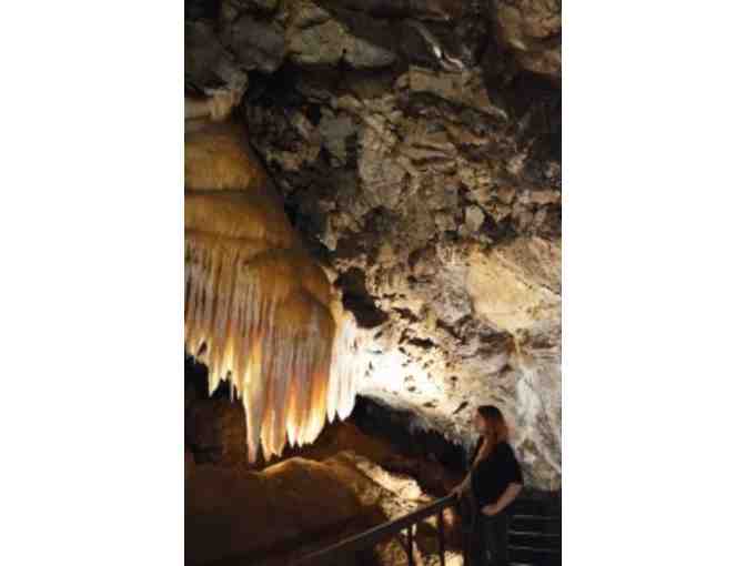 Family Pass for Walk Tour at Black Chasm Cavern (5 people)