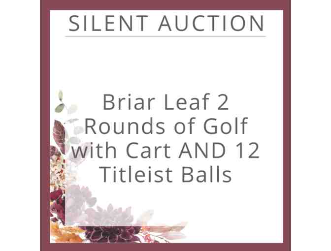 Briar Leaf 2 Rounds of Golf with Cart AND 12 Titleist Balls