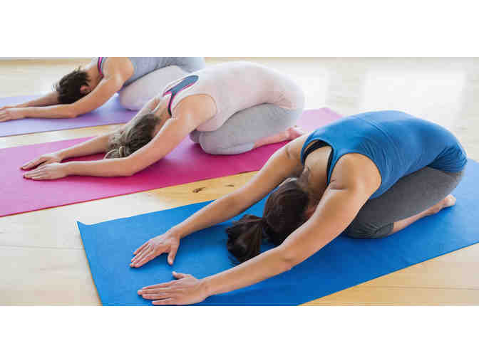 Restorative Private Yoga Class for 6