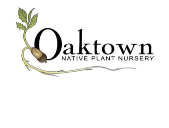 $25 Oaktown Native Plant Nursery - Photo 1