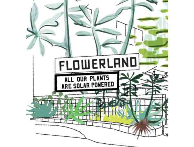 $25 Flowerland Nursery and Store - Photo 1
