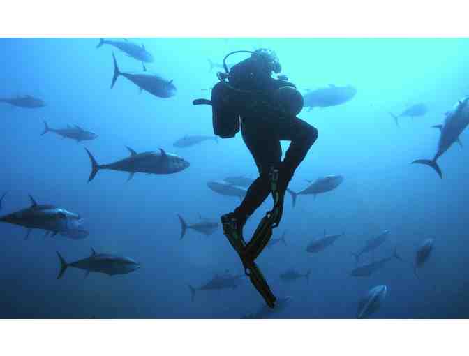 Scuba lessons and instructions for two (2)