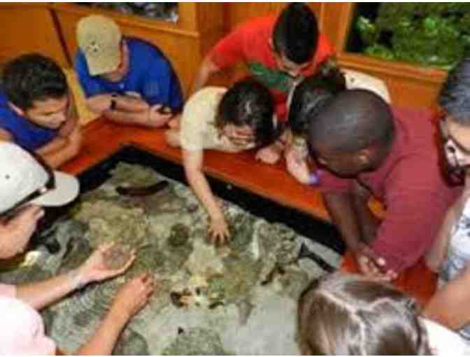 Sea Turtle Tour for 20 at Biscayne Nature Center