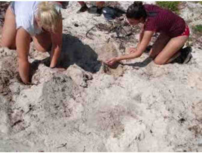 Sea Turtle Tour for 20 at Biscayne Nature Center