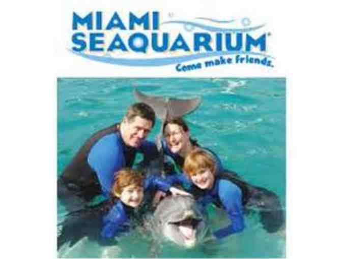 Dolphin Odyssey Adventure for Two at Miami Seaquarium