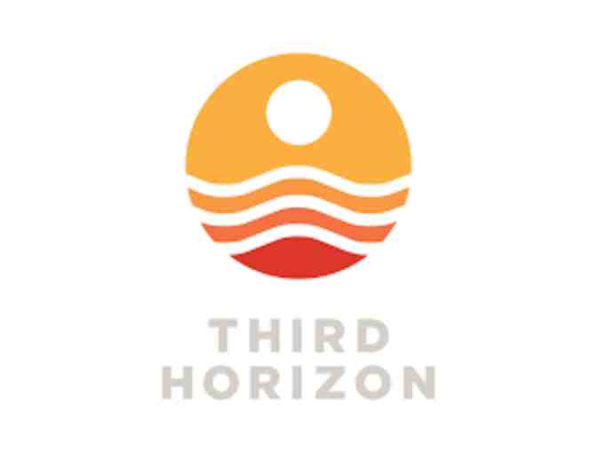 Two (2) General All Access In Person Passes + Virtual Pass for Third Horizon Film Festival - Photo 1