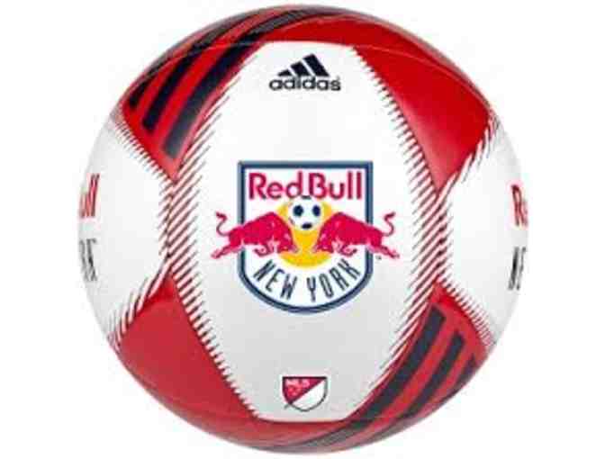 Red Bull New York Soccer Team Set