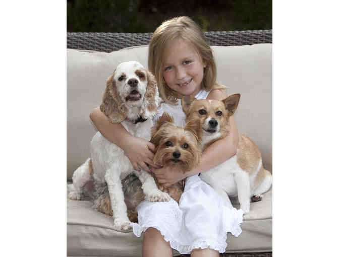 Family Portrait Package - Pets Welcome!