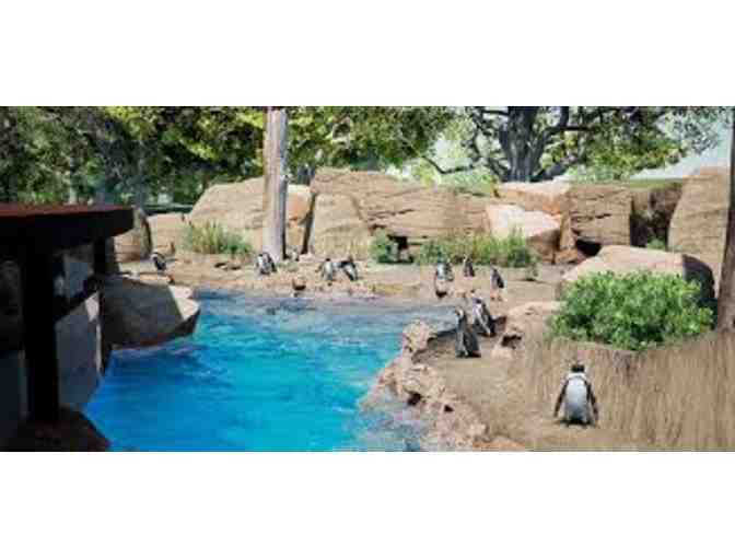 4 Passes to Zoo New England