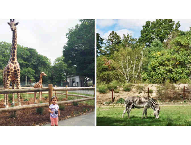 4 Passes to Zoo New England