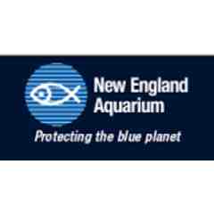 New England Aquarium