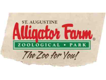 Alligator Farm - One Day Adventure Pass for four People