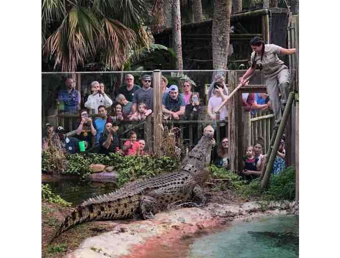 Alligator Farm - One Day Adventure Pass for four People