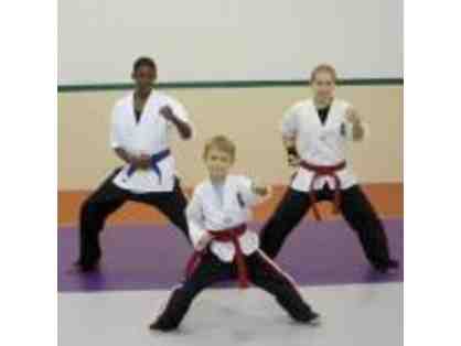 Martial Arts - Two weeks free classes