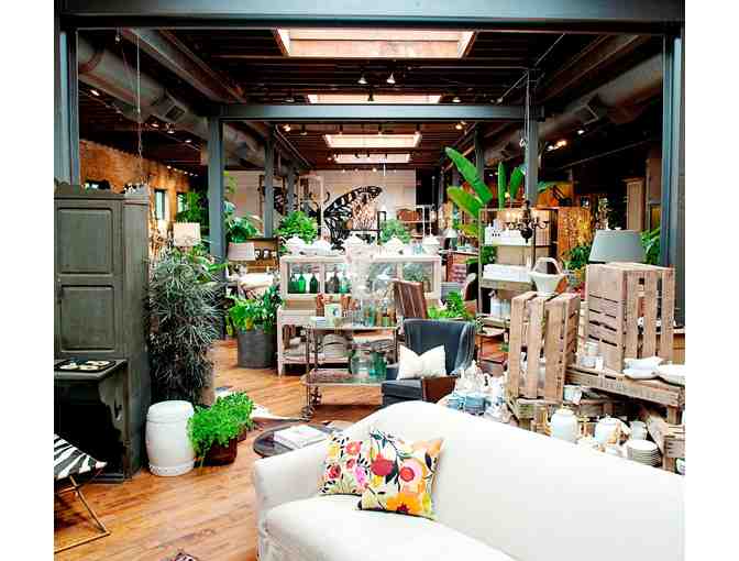 Jayson Home And Garden Gift Certificate