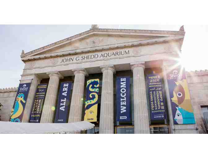 Shedd Aquarium Special Virtual Animal Encounter OR In-Person Behind The Scenes Experience