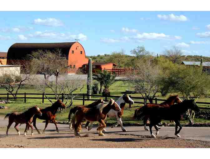 Enjoy 3-Night Stay & Dude Ranch Experience at Flying E Ranch in Wickenburg, AZ