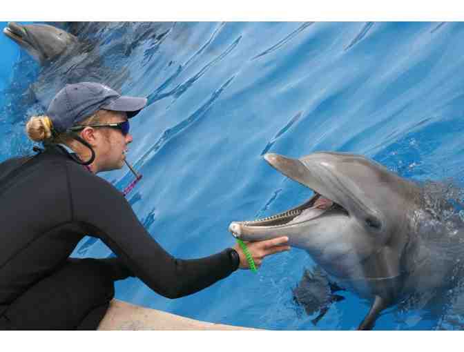 Sea World San Diego Trainer for Day + 5 night Experience