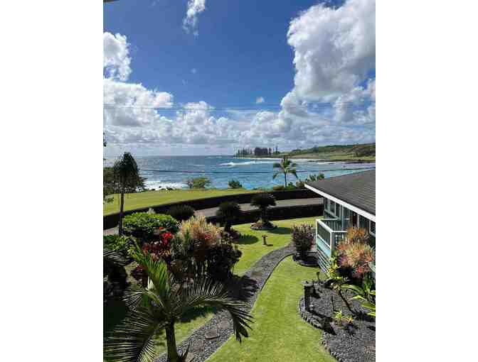 14 Night Hana + Oahu Adventure Package - Photo 1