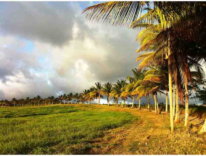 7-Night Stay at Eco Lifestyle Lodge in Barbados