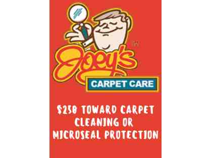 Joey's Carpet Care