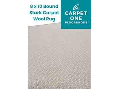 Carpet One 8x10 Rug