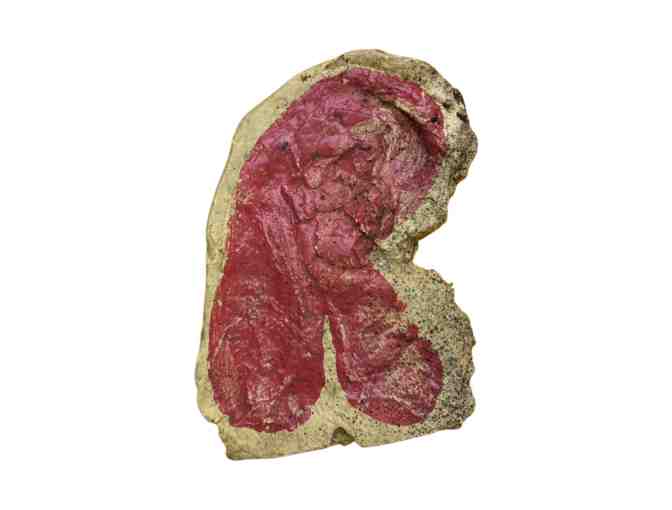 Amy Sedaris Seasoned Plastic Raw Steak